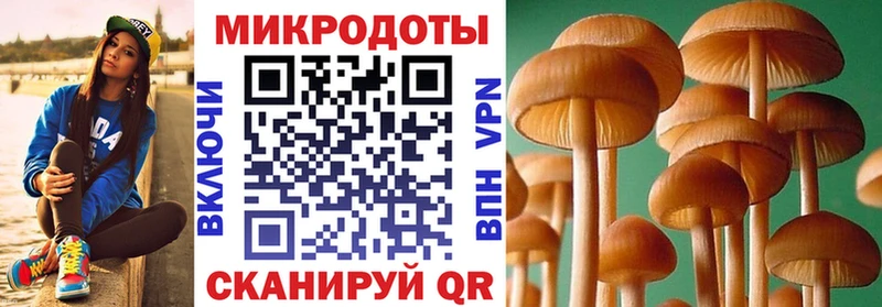 Галлюциногенные грибы MAGIC MUSHROOMS  Купить  Приозерск 